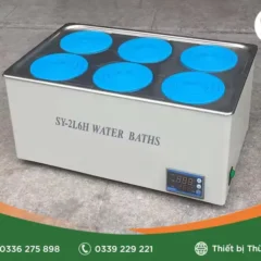 Bể cách thủy 6 vị trí SY-1L6H BIOBASE (20 lít, RT~100°C)