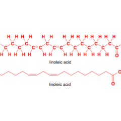  Linoleic acid for synthesis 25 ml Merck