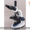 Kính hiển vi 3 mắt kết nối máy tính phóng đại 1000 lần XSP-300SM Fangyuan