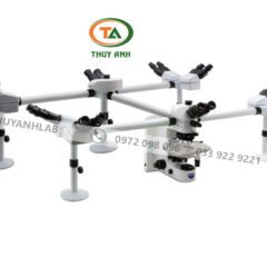 B-1000Ti-10 OPTIKA Kính hiển vi hội thảo (10 người quan sát)