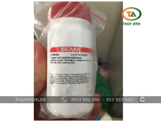 Trypsin from porcine pancreas