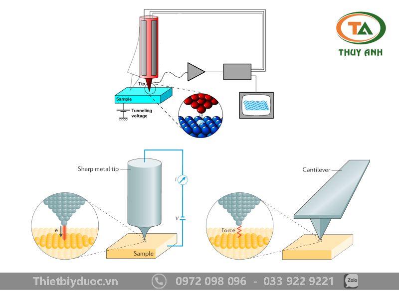 Kính hiển vi đầu dò quét