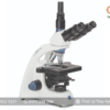 Kính hiển vi sinh học 3 mắt BB.1153-PL EUROMEX (1000X)