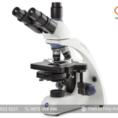 Kính hiển vi 3 mắt BB.1153-PLPHi EUROMEX (1000X)