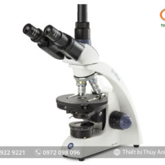 Kính hiển vi sinh học 3 mắt BB.4241-P-HLED EUROMEX (40-400X)