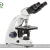 Kính hiển vi sinh học 2 mắt BB.4263 EUROMEX (Phóng đại 600X)