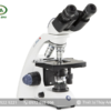 Kính hiển vi sinh học 2 mắt BB.4260-E EUROMEX (40-1000X)