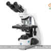 Kính hiển vi sinh học 2 mắt BS.1152-PLi EUROMEX (Đo trường sáng, 1000X)
