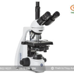 Kính hiển vi phản pha 3 mắt BS.1153-PLPhi EUROMEX (1000X)