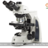 Kính hiển vi quang học DX.1153-PLi EUROMEX (40-1000X, 3 mắt)
