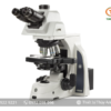 Kính hiển vi 3 mắt DX.2158-PLi EUROMEX (kết nối camera, 40-1000X)