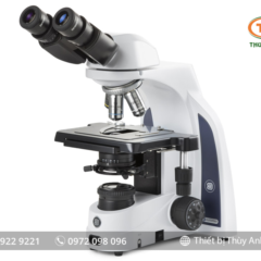 Kính hiển vi 2 mắt IS.1152-PLi EUROMEX (trường sáng, 1000X)