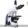 Kính hiển vi phản pha IS.1153-PLPHi EUROMEX (1000X)