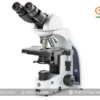 Kính hiển vi 2 mắt IS.1158-PLi EUROMEX (trường sáng, 1000X)