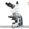 Kính hiển vi 3 mắt IS.1159-EPLi EUROMEX (trường sáng, 1000X)