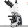 Kính hiển vi phản pha IS.1159-PLPHi EUROMEX (1000X)