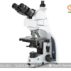 Kính hiển vi 3 mắt IS.1159-PLi EUROMEX (trường sáng, 1000X)