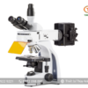 Kính hiển vi huỳnh quang IS.3153-EPLi/6 EUROMEX (kết nối với camera)