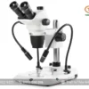Kính hiển vi soi nổi NZ.1703-PG EUROMEX (6,5X-55X)