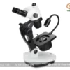 Kính hiển vi soi nổi NZ.1903-GEML EUROMEX (6,7X-45X)