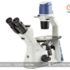 Kính hiển vi soi ngược OX.2003-PLPH EUROMEX (40-400X)