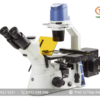 Kính hiển vi soi ngược OX.2253-PLPHF EUROMEX (40-400X)