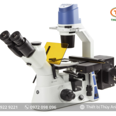 Kính hiển vi soi ngược OX.2453-PLF EUROMEX (4block, 40-400X)