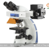 Kính hiển vi huỳnh quang 3 mắt OX.3085 EUROMEX (Oxion, 40-1000X)