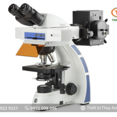 Kính hiển vi huỳnh quang 3 mắt OX.3085 EUROMEX (Oxion, 40-1000X)