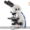 Kính hiển vi huỳnh quang 2 mắt OX.3232 EUROMEX (40-1000X)