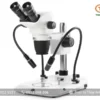 Kính hiển vi soi nổi NZ.1702-PG EUROMEX (6,5X-55X)