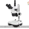 Kính hiển vi soi nổi NZ.1903-M EUROMEX (6,7X-45X)