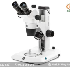 Kính hiển vi soi nổi NZ.1903-S EUROMEX (6,7X-45X)