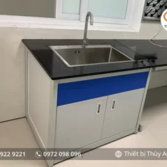 Bàn chuyên dụng thí nghiệm chậu rửa BCR-T04