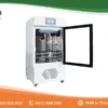Tủ ấm đa năng BJPX-Y150 BIOBASE (150 lít, 0~100°C)
